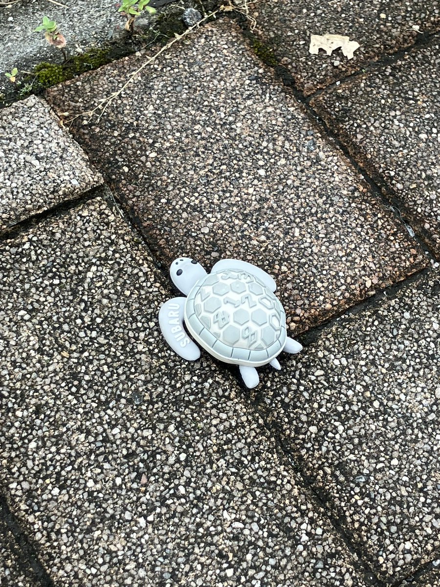 mapo23's tweet photo. ハーバースタジオ反対側の歩道に落ちてました。近くのバス係留場の人に渡してます。

#すばると https://t.co/I65zQoMrjY