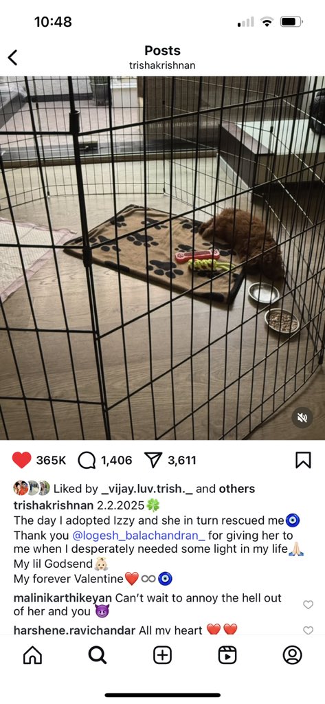 trishakrishan_'s tweet photo. @itzAVD She adopted izzy on feb 2025 😂 https://t.co/ZlOB5VQd9B