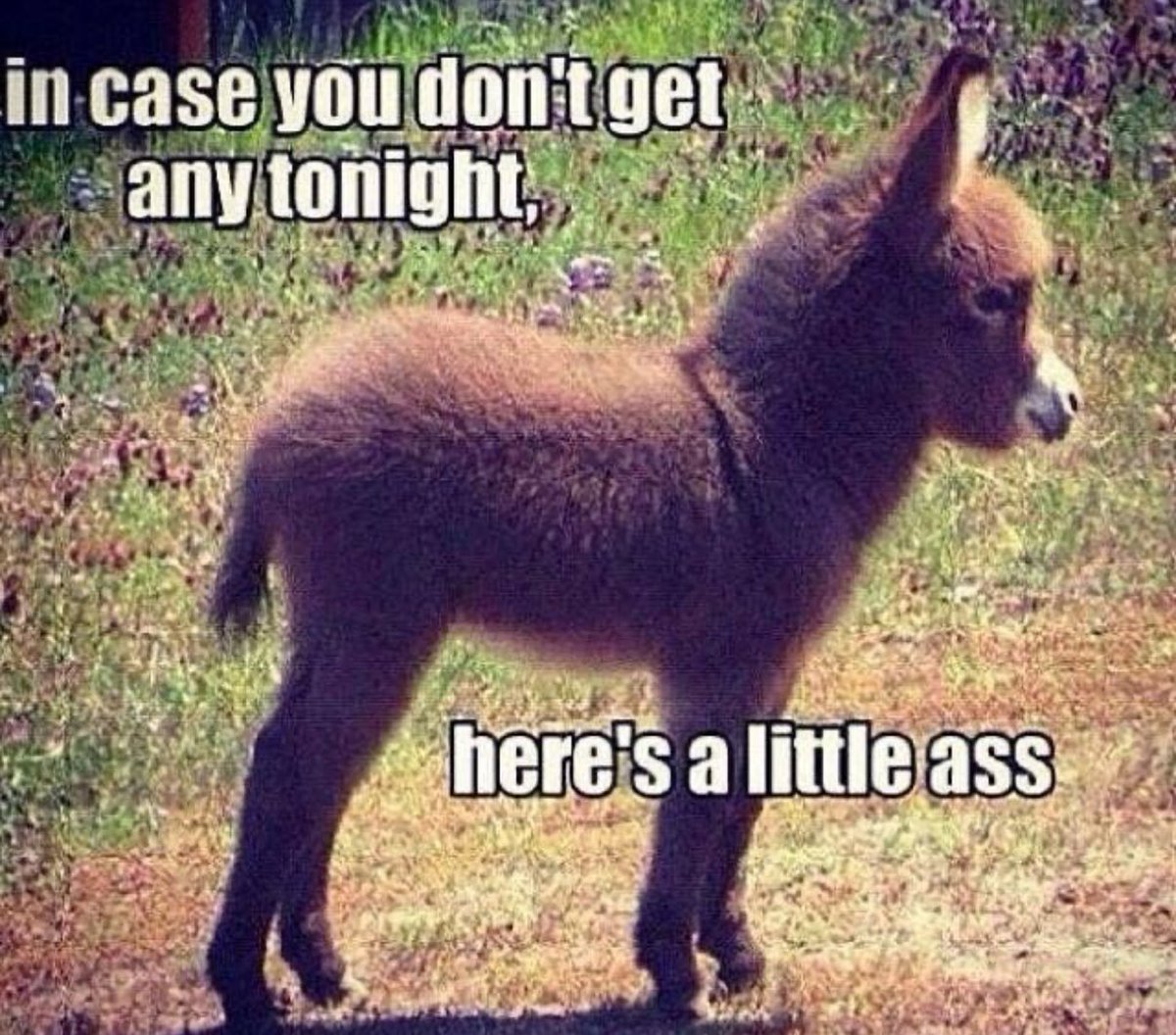 Lookin’ out for everyone! <a href="/WELOVEASSONSOL/">We Love Ass 🍑</a>