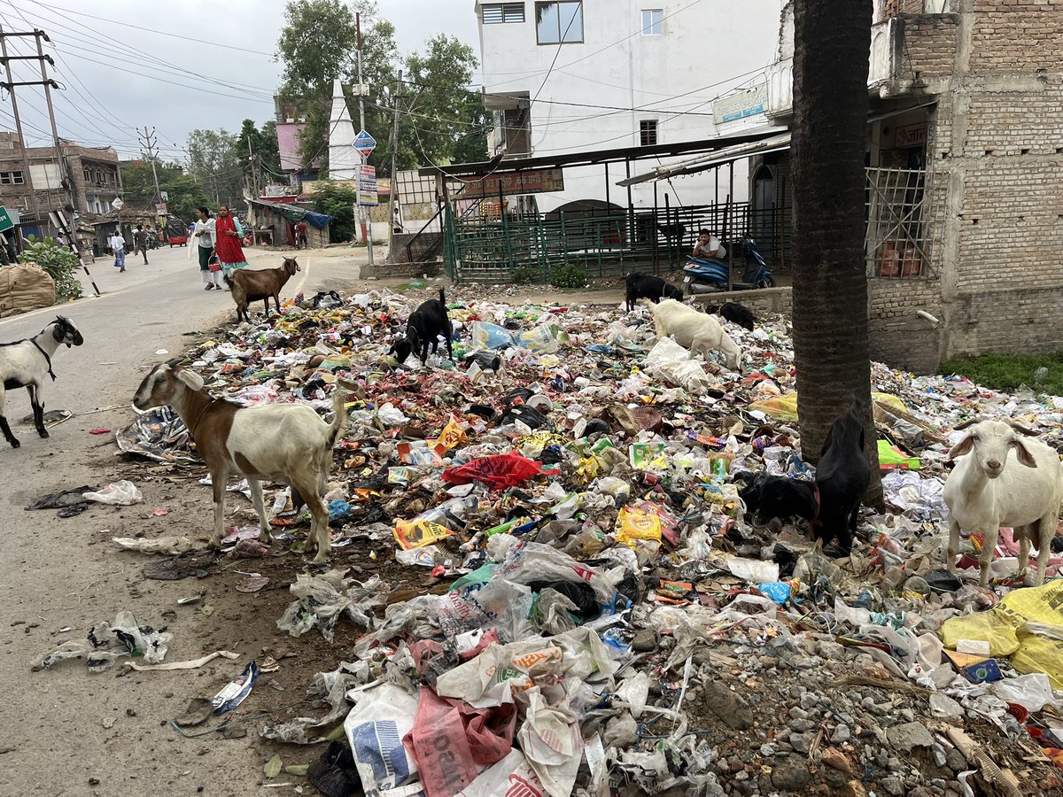lokeshk0392's tweet photo. Welcome to Smart City”Muzaffarpur! 🔥Ward No. 1 – jahaan Swachh Bharat ka asli roop milta hai garbage ke neeche daba hua.Roz subah kachre ki fragrance se din ki shuruaat hoti hai @Mmcmuzaffarpur @MSCLOfficial @dr_rajbhushan @SmartCityMuzaff @SwachhBharatGov @BiharCM @NitishKumar https://t.co/tniqGJi5eI