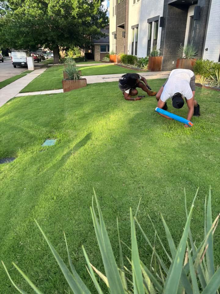 Ess Ess Aché tweet media