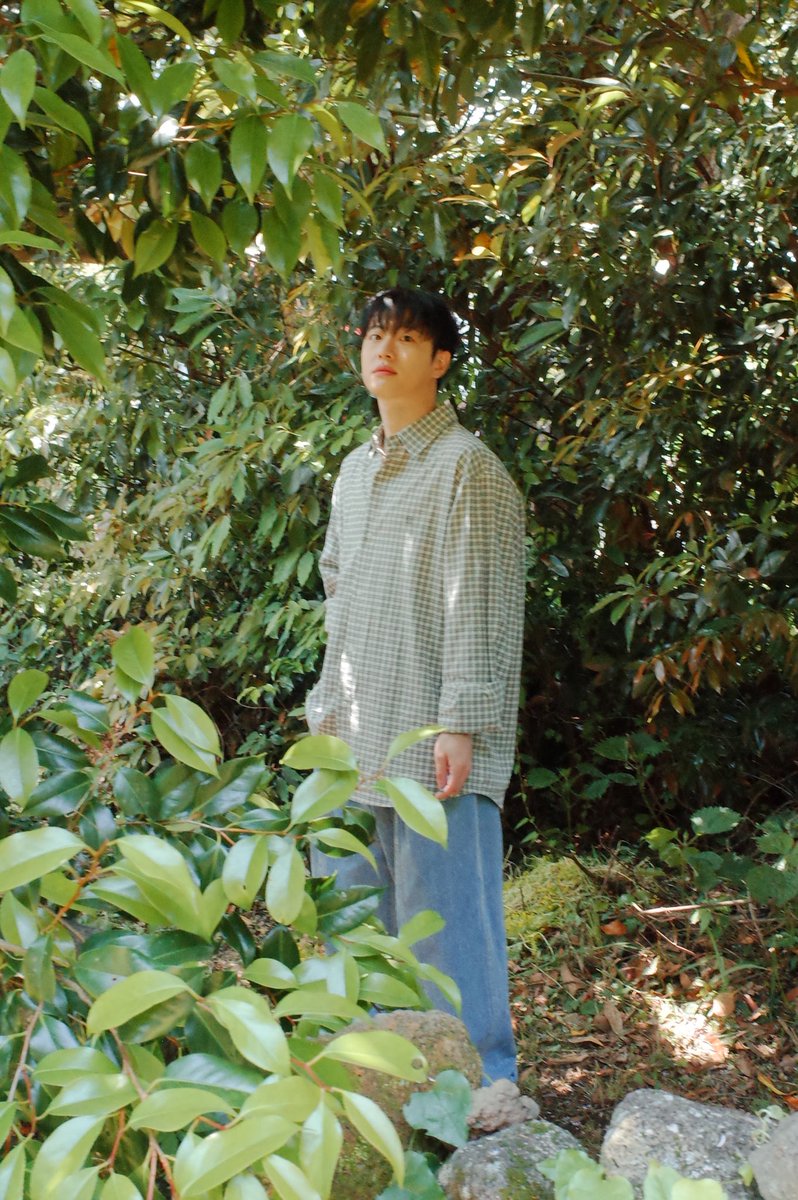 feeldog_bpnn's tweet image. Bright light in JEJU
