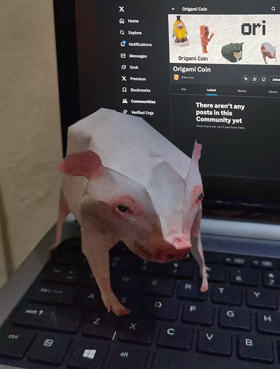 TOM 🦞 tweet media