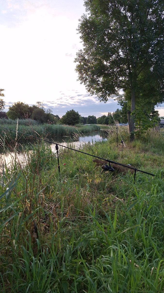 KeesAddy's tweet image. Goedemorgen .