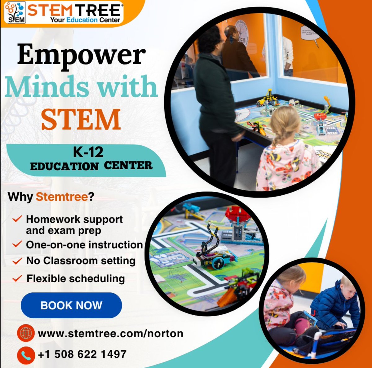 Stemtree of Norton tweet media