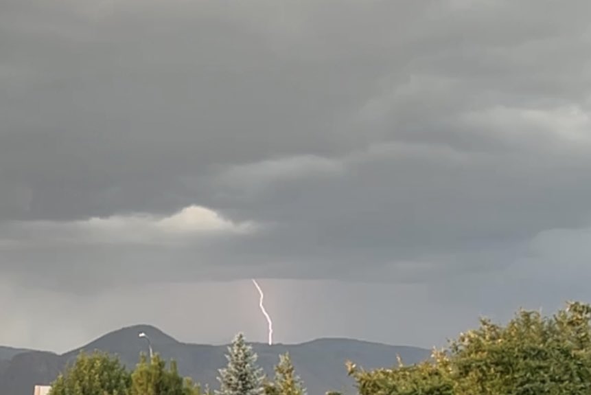 Sue Mark tweet media