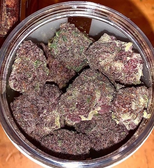 _StonersRUs_'s tweet photo. Granddaddy Purple 🍇🌱 https://t.co/Uoppqi0pmP