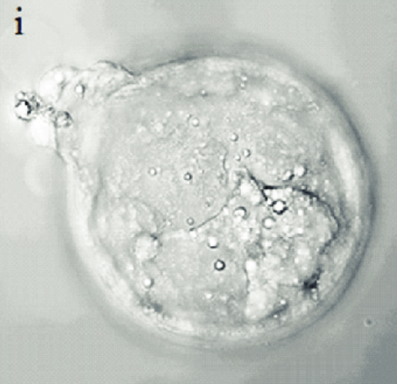 Sebastian Dziadzio tweet media