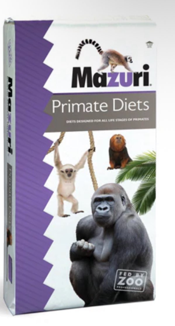 Lizard without legs tweet media