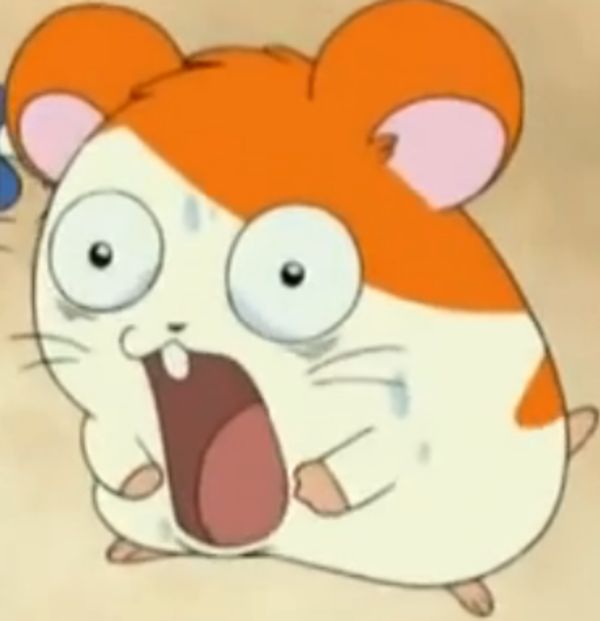 Good Faces (@good_faces_bot) on Twitter photo 