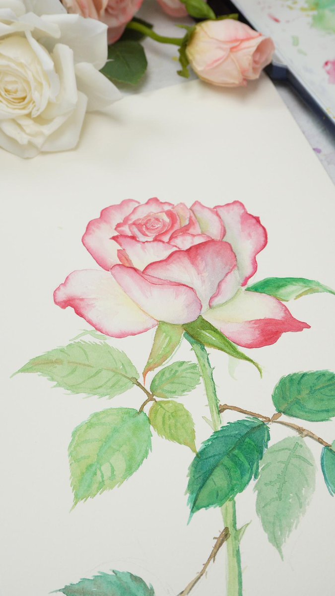 fuumuuibrushes_official tweet media