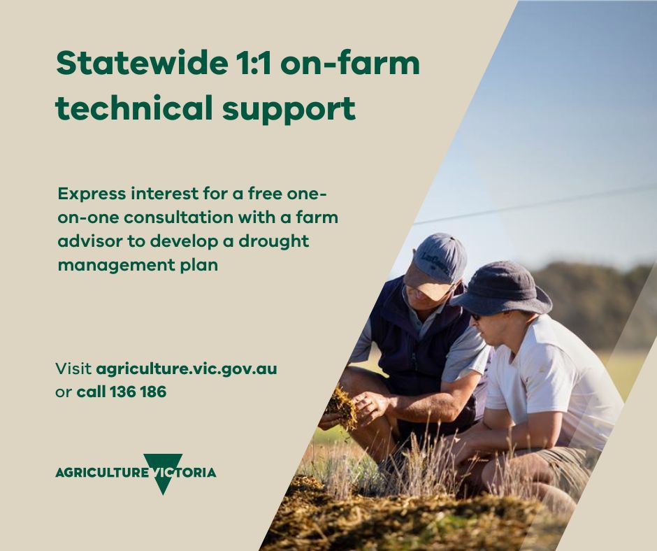 Eligible drought-affected farmers across the state can register for a free one-on-one consultation with a farm advisor to develop a drought management plan.
Register here forms.office.com/r/DgxFvUtWYu More information agriculture.vic.gov.au/dryseasons