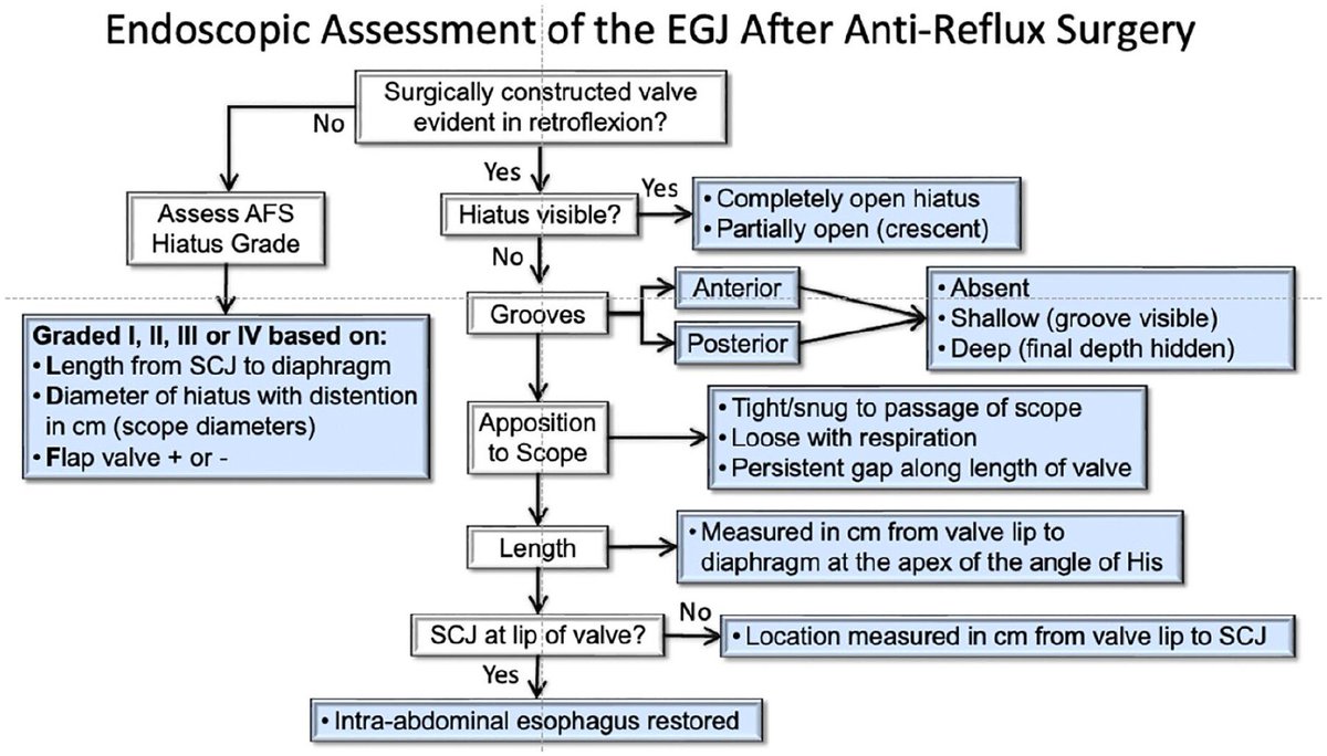 Foregut Journal (@foregut_journal) on Twitter photo American Foregut Society White Paper on the Endoscopic Assessment of the Gastroesophageal Valve After Anti-Reflux Surgery
๐Read here: ๐#OpenAccess: journals.sagepub.com/doi/full/10.11โฆ
#MedTwitter #GITwitter #SurgTwitter #MedX #GIX #SurgX <a href="/ForegutSociety/">The American Foregut Society</a> <a href="/DrRegBell/">Reg Bell</a> <a href="/babudayyeh/">Barham Abu Dayyeh MD MPH FASGE FAGA FAFS</a> American Foregut Society White Paper on the Endoscopic Assessment of the Gastroesophageal Valve After Anti-Reflux Surgery
๐Read here: ๐#OpenAccess: journals.sagepub.com/doi/full/10.11โฆ
#MedTwitter #GITwitter #SurgTwitter #MedX #GIX #SurgX <a href="/ForegutSociety/">The American Foregut Society</a> <a href="/DrRegBell/">Reg Bell</a> <a href="/babudayyeh/">Barham Abu Dayyeh MD MPH FASGE FAGA FAFS</a>