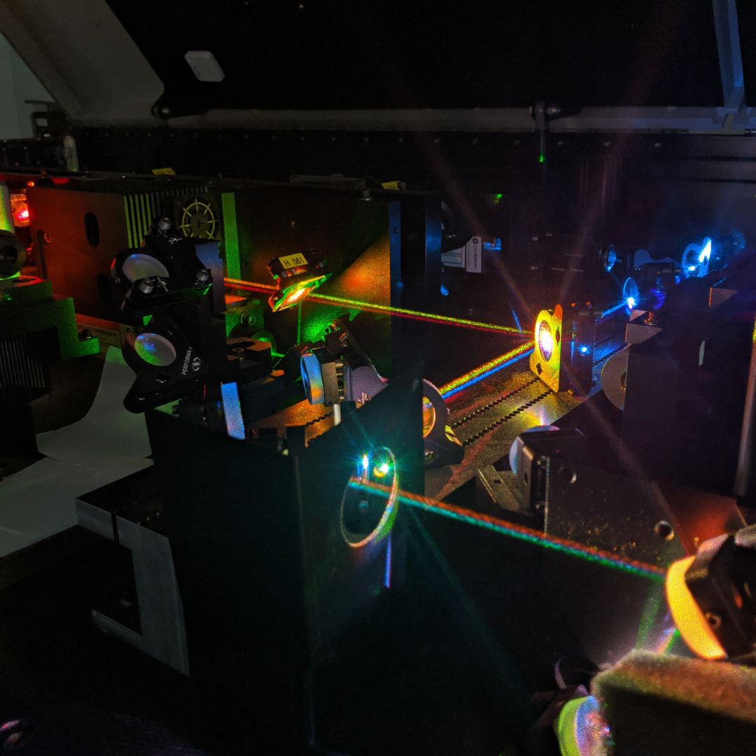 Centenary Institute tweet media