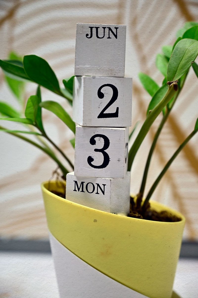 TheTrustedProp tweet media