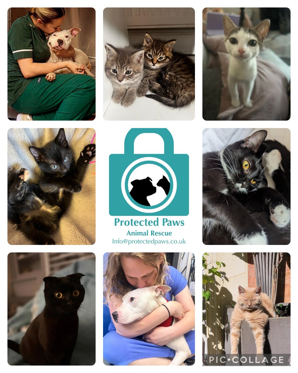 ProtectedpawsAR tweet picture