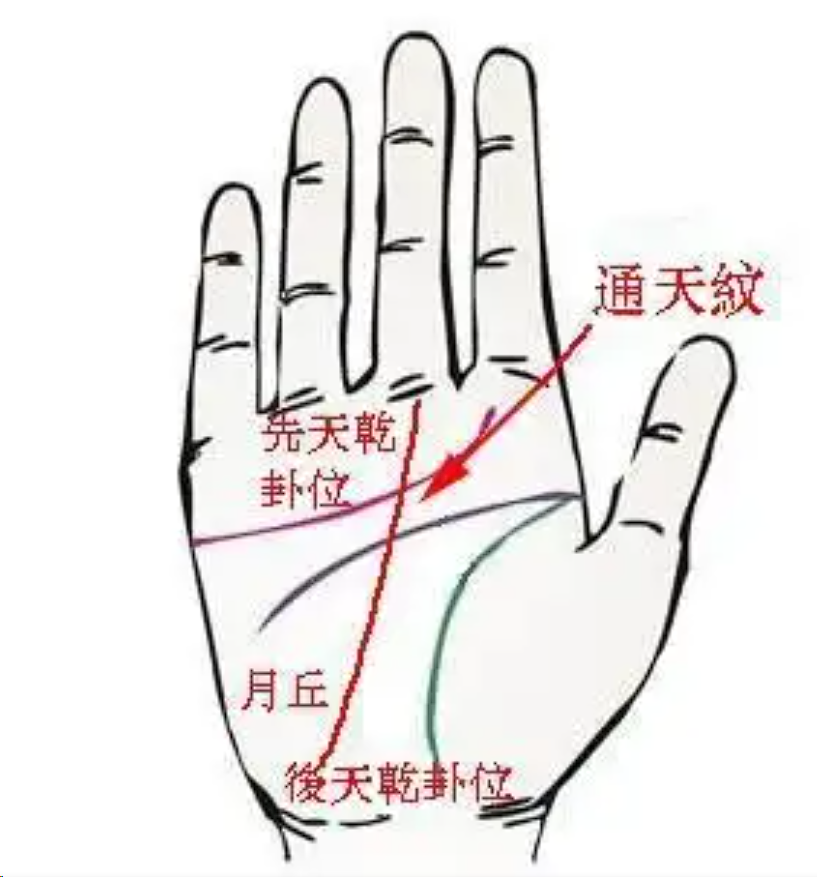 Humanity的隐藏规则，手掌通天纹会有额外奖励以及专人dm，这个项目是大清和共济会的阴谋，就是为了通过区块链找到有通天纹的旗人。大清还没亡，链上满洲国复辟叙事怎么说👀
<a href="/Humanityprot/">Humanity Protocol 「 🖐️ ✦ 🇺🇳 」</a>