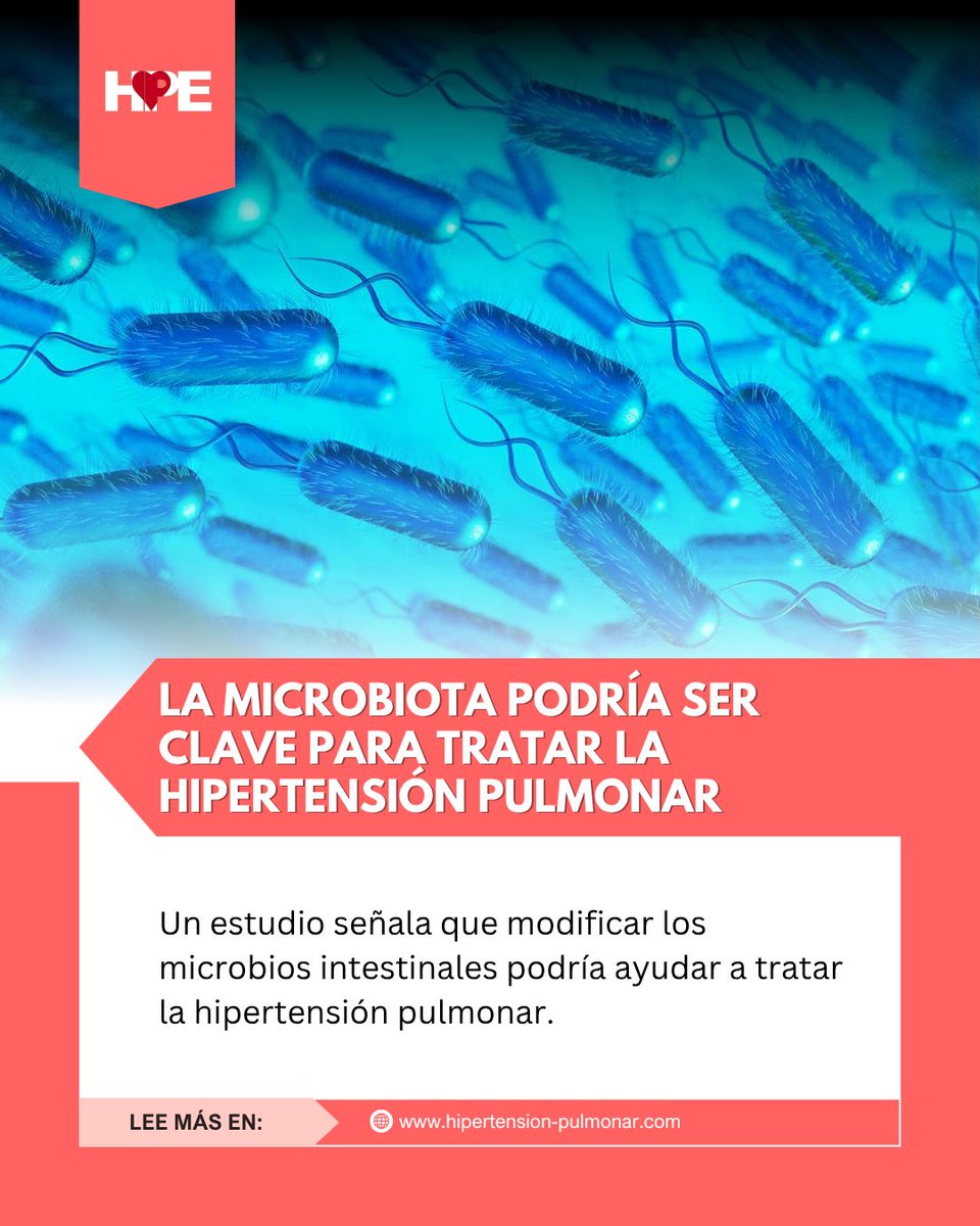 🦠 ¿Y si el intestino tuviera la clave para tratar la hipertensión pulmonar?

Un estudio sugiere que los microbios intestinales podrían influir en el desarrollo de la HAP y ser una nueva vía terapéutica. 👇🏻
hipertension-pulmonar.com/noticias/inves…