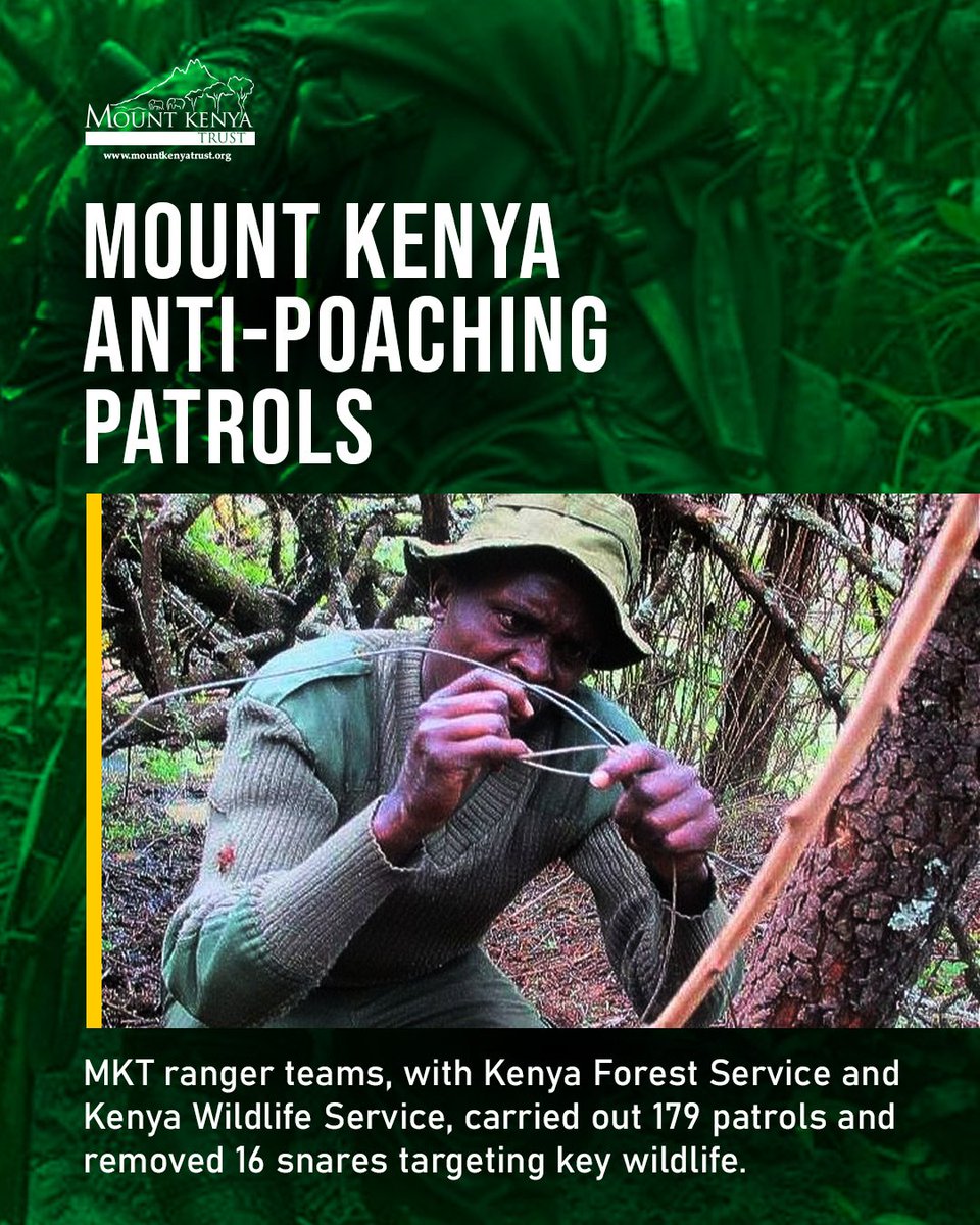 Mount Kenya Trust tweet media