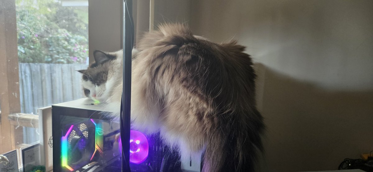 my ROTUND HEFTY FUCK of a son who just stepped on my power button mid civ game and turned it off....