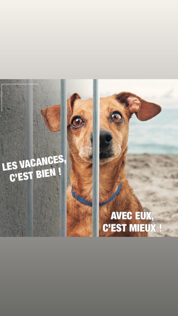 Lima Karine (@karinelimatv) on Twitter photo 