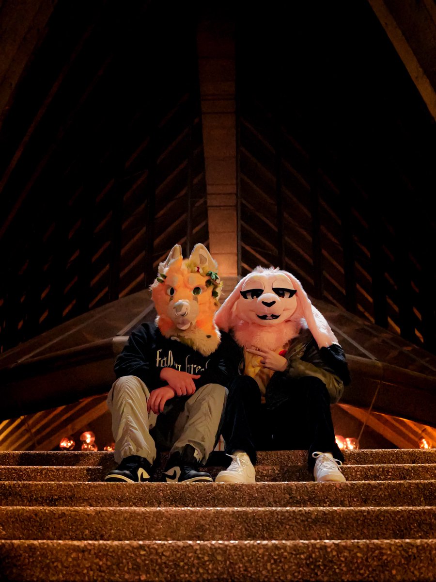 Sydney is just way cooler 🫣
🐰 <a href="/HopperHops_/">Hopper</a> 
📸 <a href="/HakPuppeh/">HakPuppeh</a>