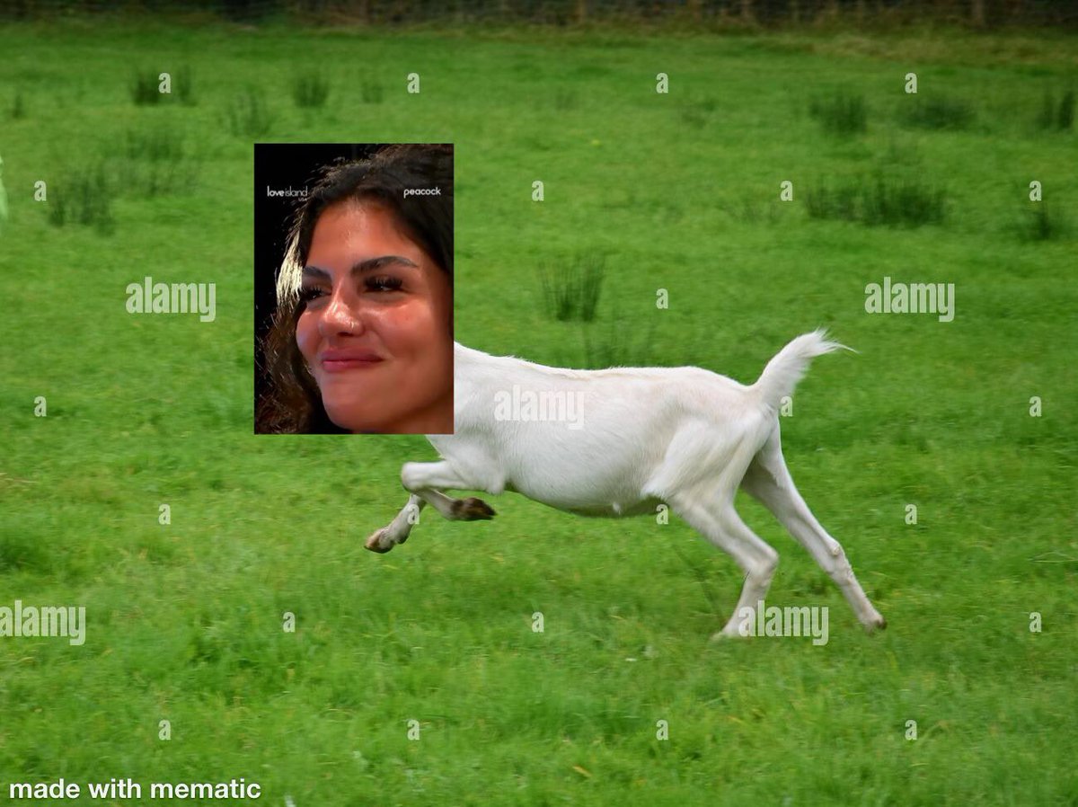 yaboydkyep's tweet photo. Escape goat https://t.co/HEmK9fPoD5