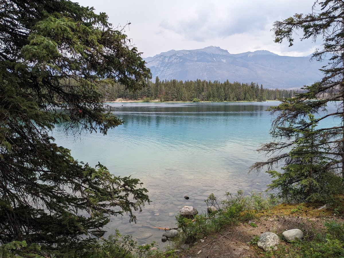 Lakes_Graham's tweet image. It's been a great day of kayaking and walking amongst the lakes around Jasper in Alberta, Canada today. Always having a thought at the back of my mind of what I would do if I came across a Grizzly bear 🤔🫤