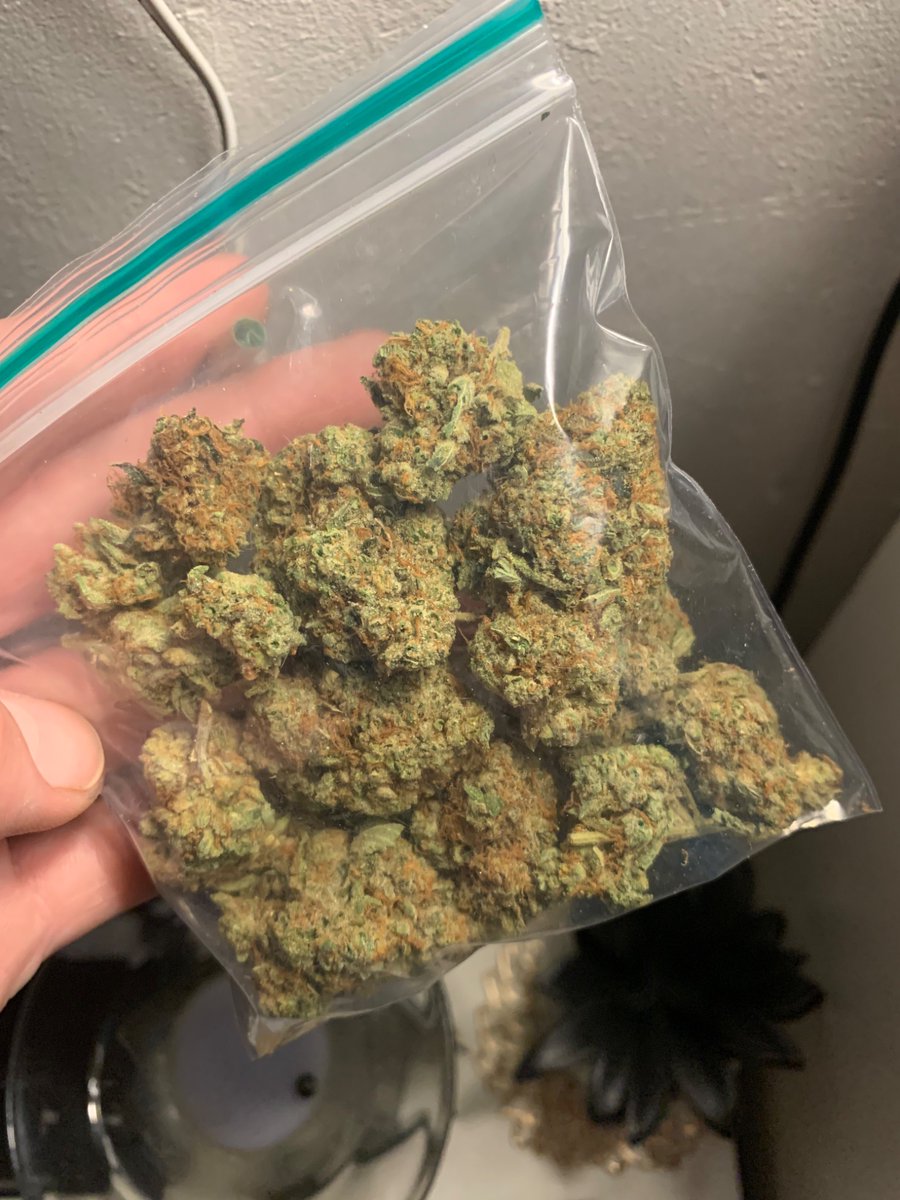 STONERS R US 🍃 tweet media