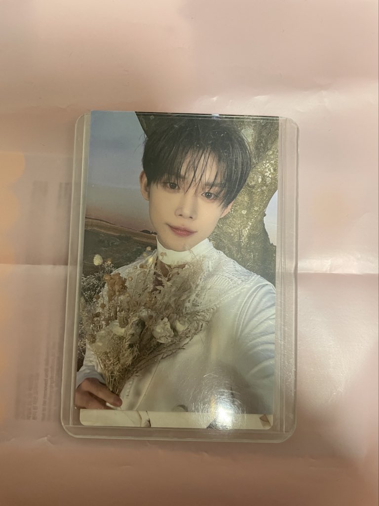콩짱 tweet media