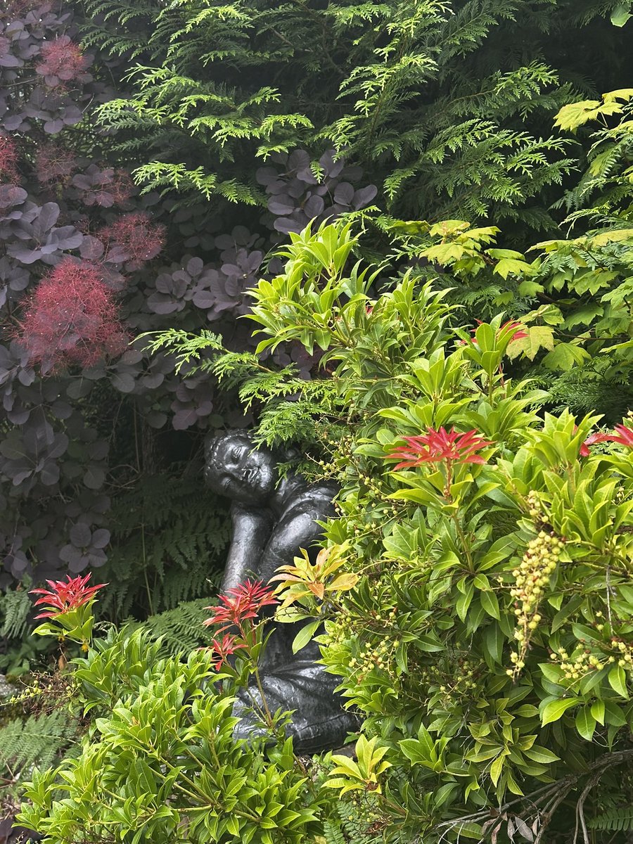 paul_siddaway's tweet image. The garden I love …