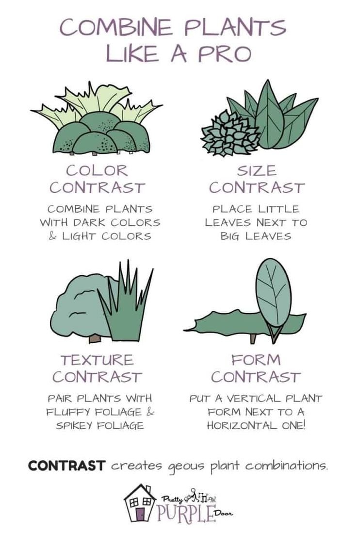 visakanv's tweet photo. i'm always looking for inspiration on how to organize things beautifully, and today i hit jackpot on garden landscape pinterest https://t.co/taS1fnBDyB