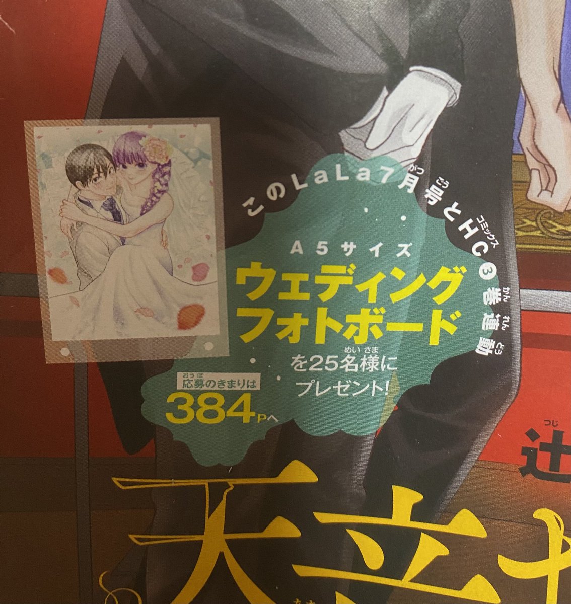 ╭━━━━━━━━━━━╮
本日6月23日(月)〆切
╰━━━━━v━━━━━╯
3巻とLaLa7月号の連動懸賞、
ウェディングフォトボードの〆切は
本日(消印有効)です
山田達の結婚式に参加した引き出物だと思って飾ってください😘