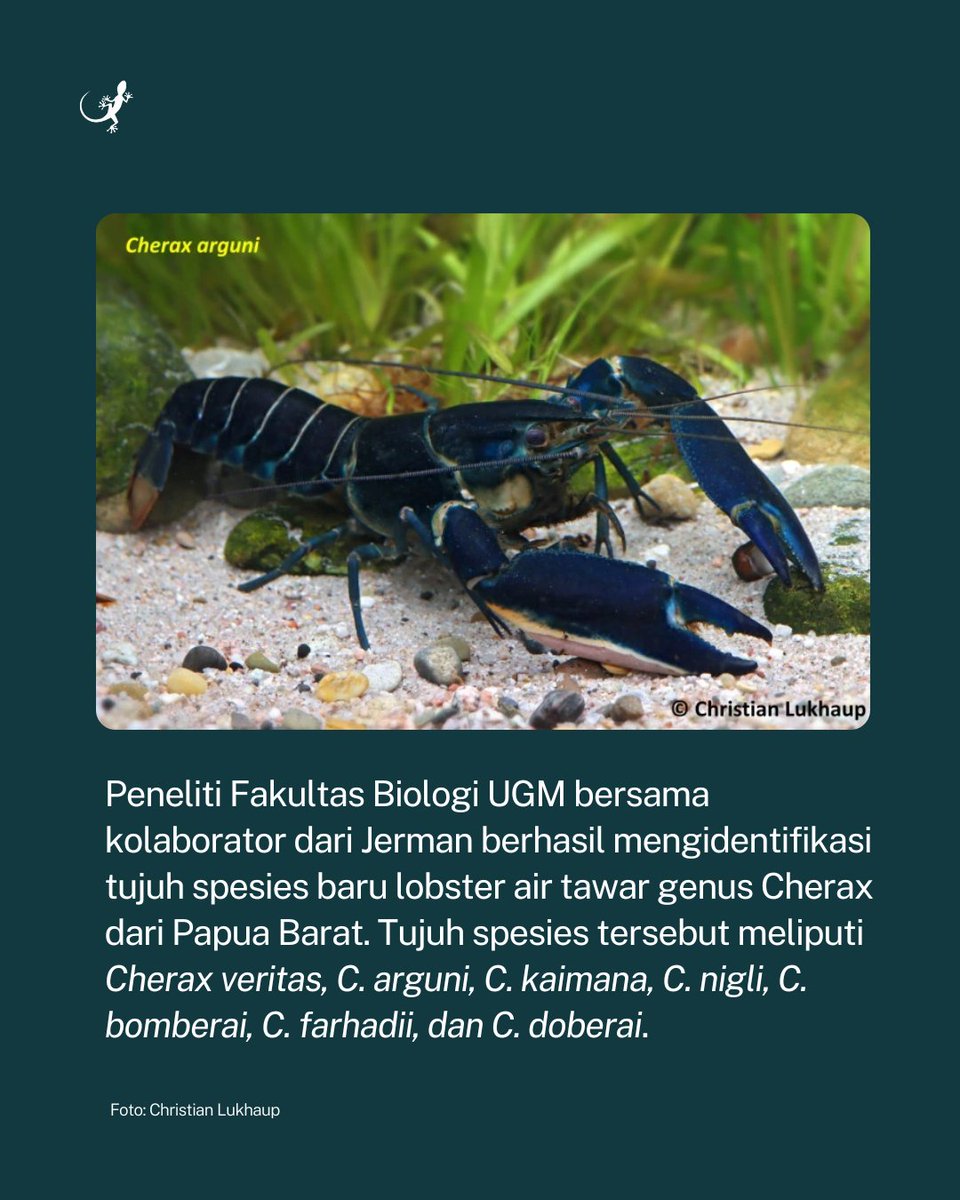 Mongabay Indonesia tweet media