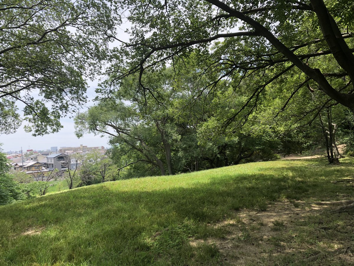 津堂城山古墳(世界遺産)

2025.6.21