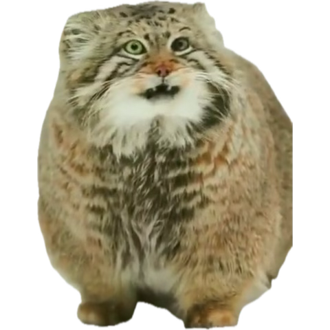 jjjjjjjjjjjjuan (@le_puticlub) on Twitter photo 
