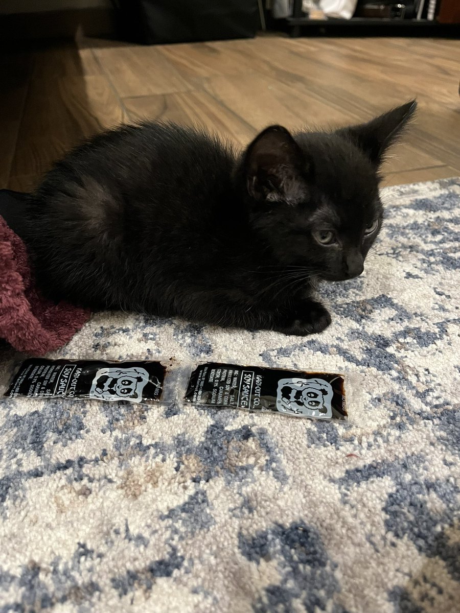 he is Two soy sauces Long