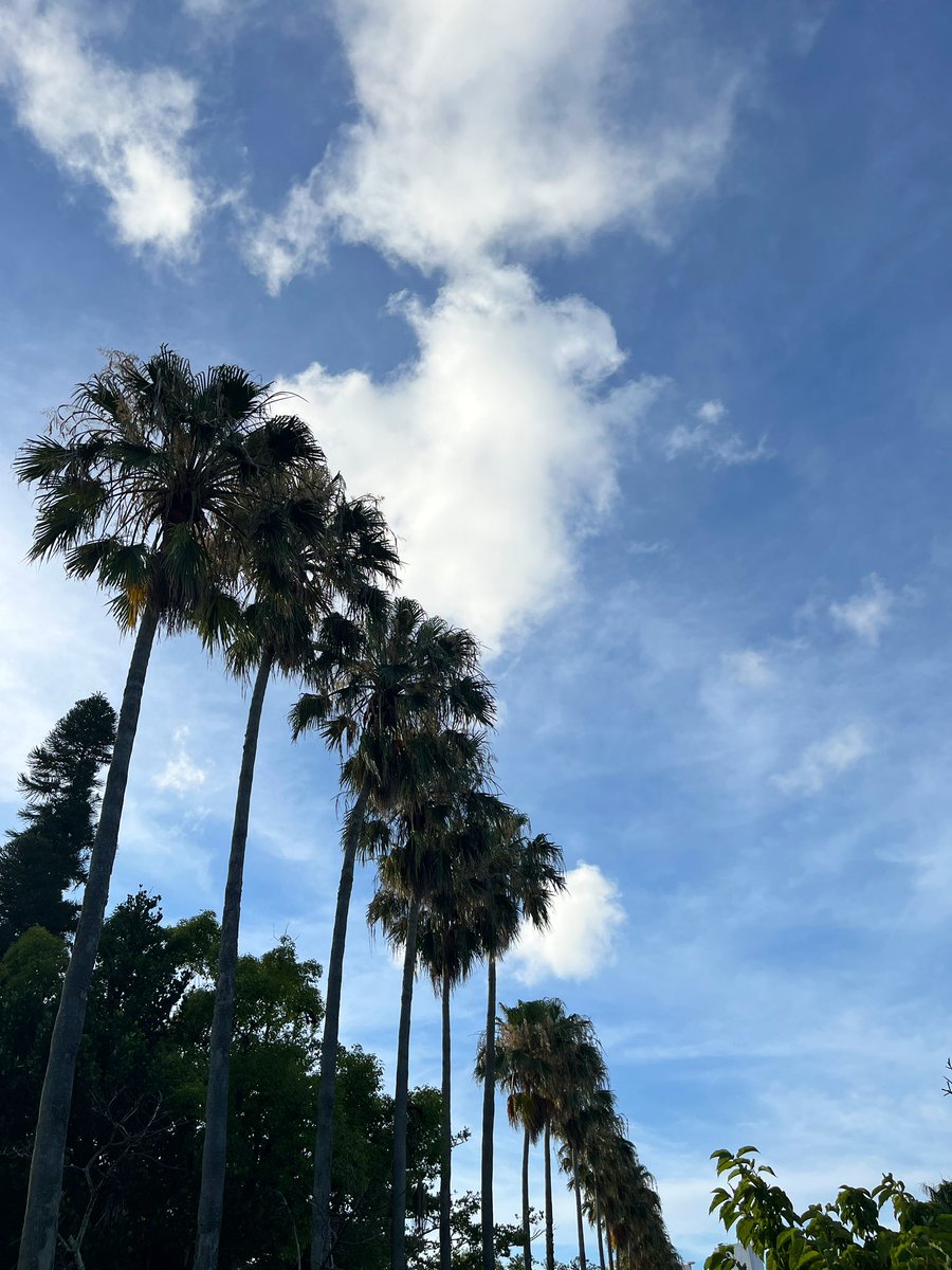 今日、6/23は沖縄は慰霊の日

学校もお休み。
正午に子どもたちと黙祷しました。

平和に見える今でも
世界のどこかでは争いがあって、、

私に出来ることは限られているけど
目の前にいる人を大事に想い、
思いやりを忘れずに生きていきたい。

そんな小さな積み重ねが
平和に繋がると信じています。