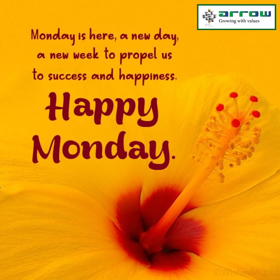 Arrow PC Network Pvt tweet media