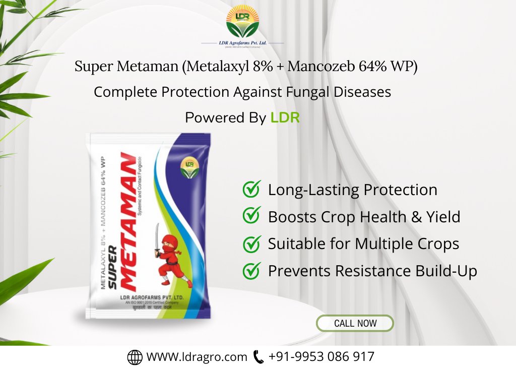 LdrAgrofarms's tweet photo. Complete Protection Against Fungal Diseases
Powered By LDR
.
.
.
#supermetaman #agriculture #farming #farm #farmlife #farmer #nature #ldragrofarms #agriculturelife https://t.co/Mk6vbiNfnp