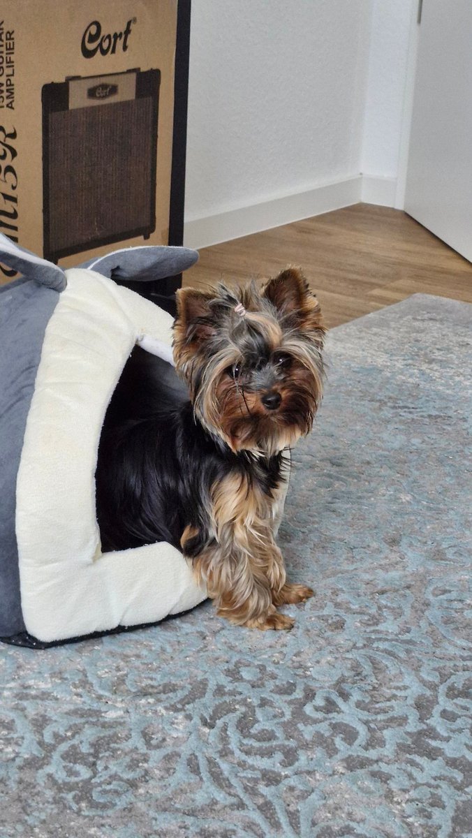 Good morning
Let today be soft☁️