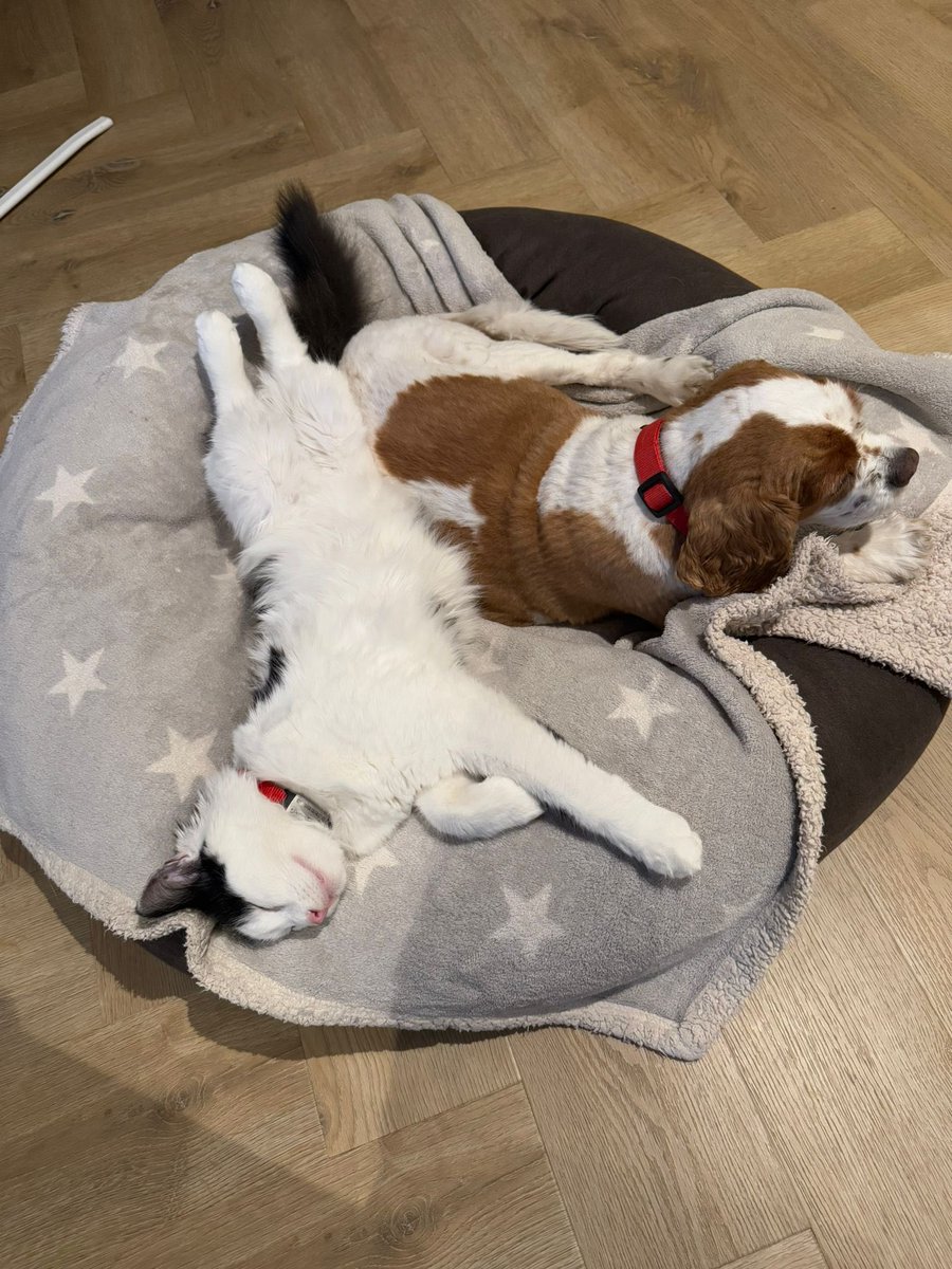 Angry Anna❤️‍🔥 tweet media