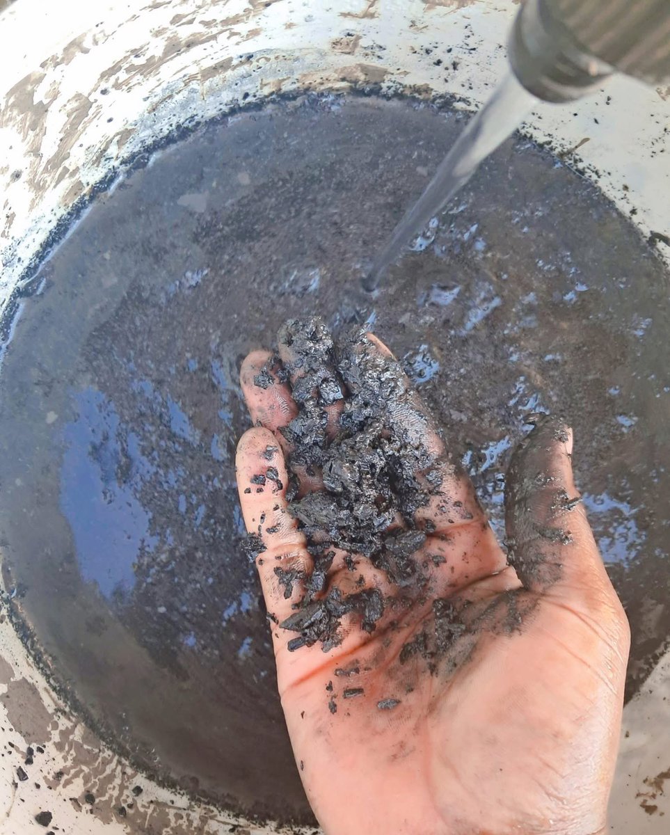 Agric_young's tweet photo. Hello, my Agri community!
I came across something interesting—charcoal being used for chickens. You know me, I’m always curious and eager to learn more, so I did a bit of research. Here’s what I found:
#AgriTips #BroilerFarming #ChickenHealth #CharcoalBenefits #SmartFarming https://t.co/GfXhkjIaNX