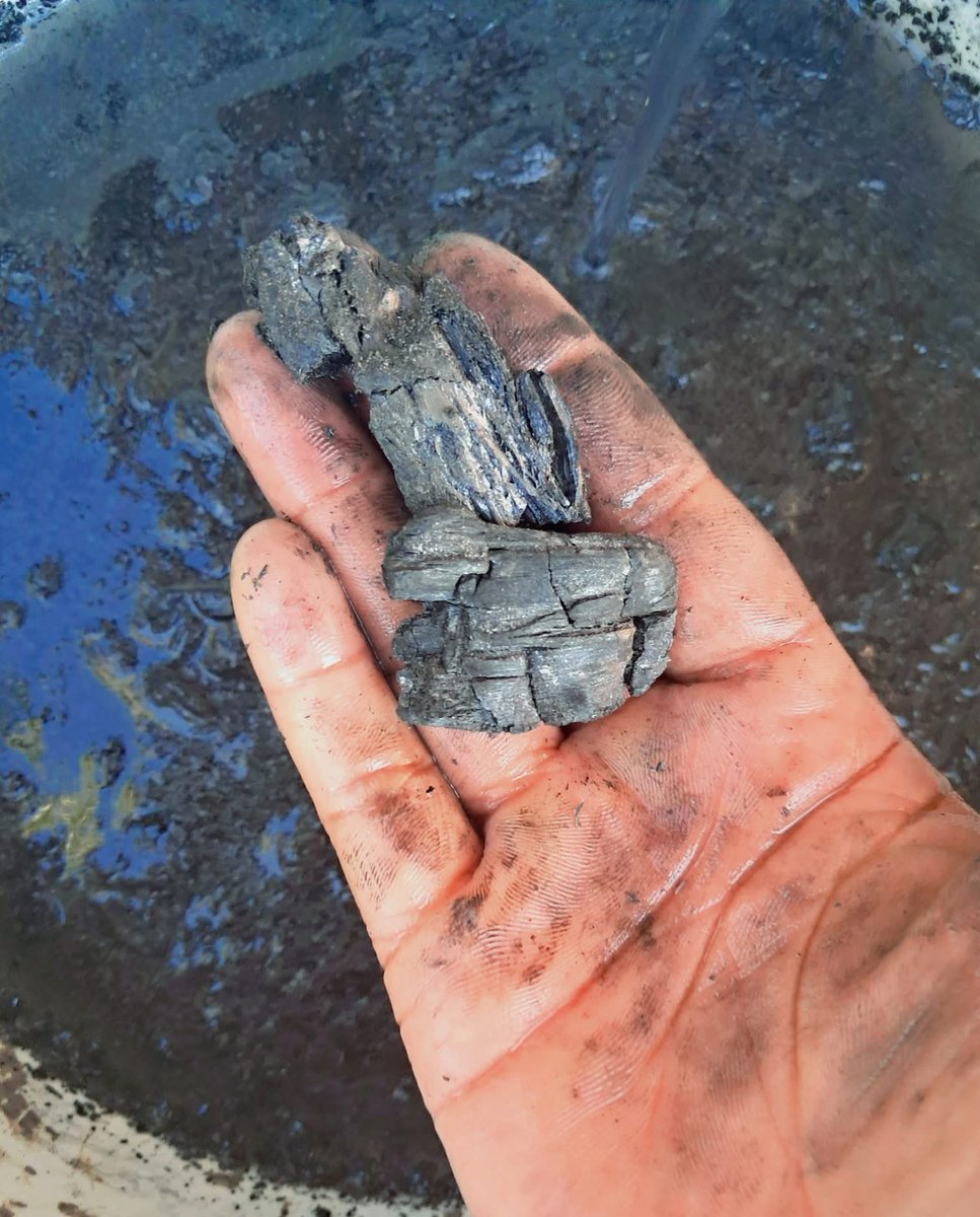 Hello, my Agri community!
I came across something interesting—charcoal being used for chickens. You know me, I’m always curious and eager to learn more, so I did a bit of research. Here’s what I found: 

#AgriTips #BroilerFarming #ChickenHealth #CharcoalBenefits #SmartFarming