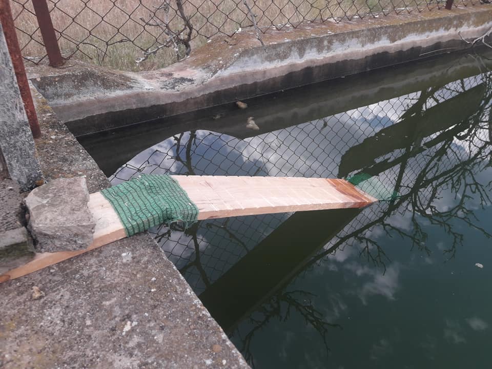 Ahora con el calor del verano muchos animales se acercan a pozos y aljibes para beber agua.
Pero en ocasiones caen dentro y no pueden salir, acabando ahogados.
Aquí tienes un fácil mecanismo para ponerlo y ayudarles a que salgan si caen dentro. 
entrepinosysembrados.blogspot.com/2018/07/facil-…