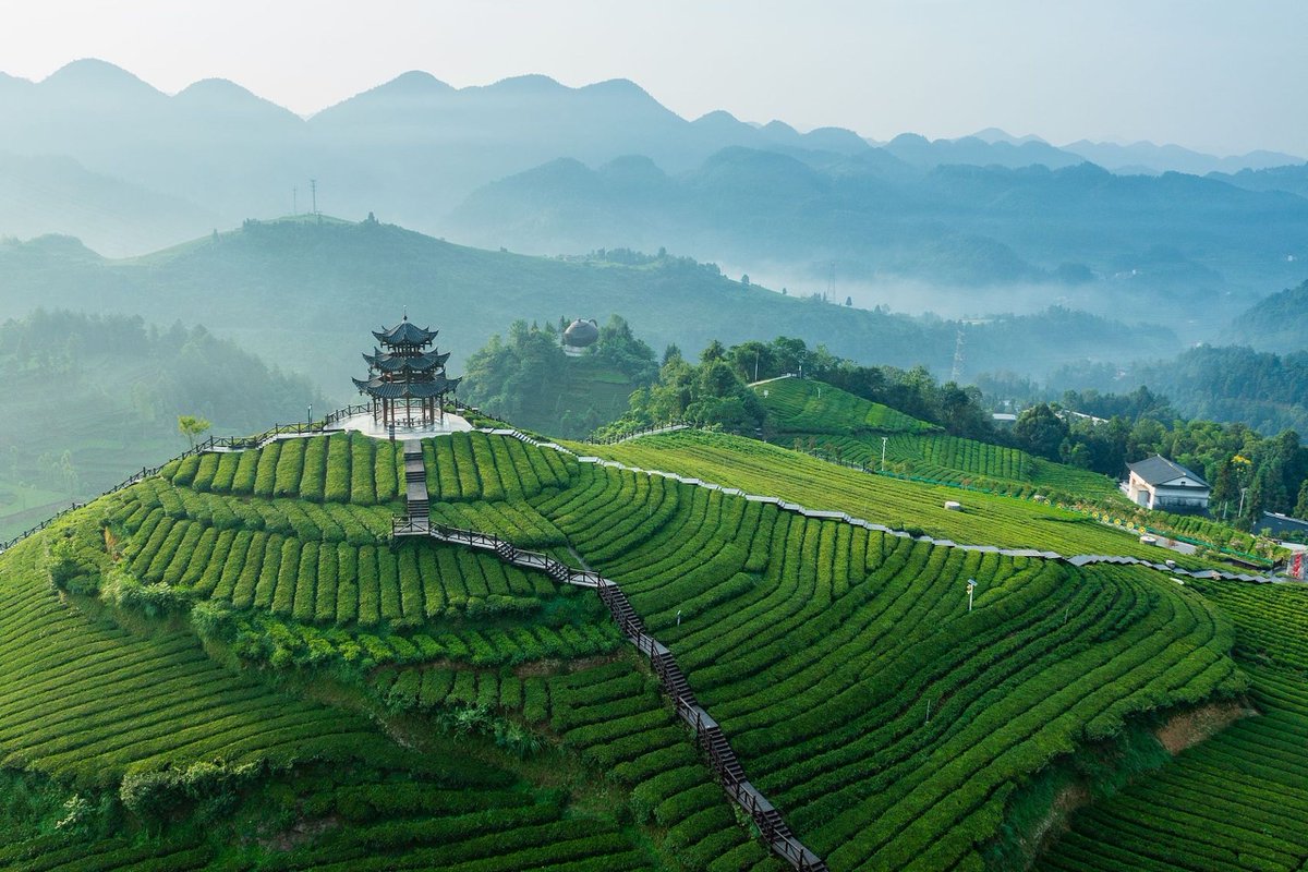 WorldofChinese's tweet image. On the hunt for off-the-beaten-path towns, countryside treasures, and authentic bites in #China this summer?🗺️

Find it all in The Real Traveler’s Summer Guide below: #TravelChina #Chinaguide

theworldofchinese.com/the-real-trave…