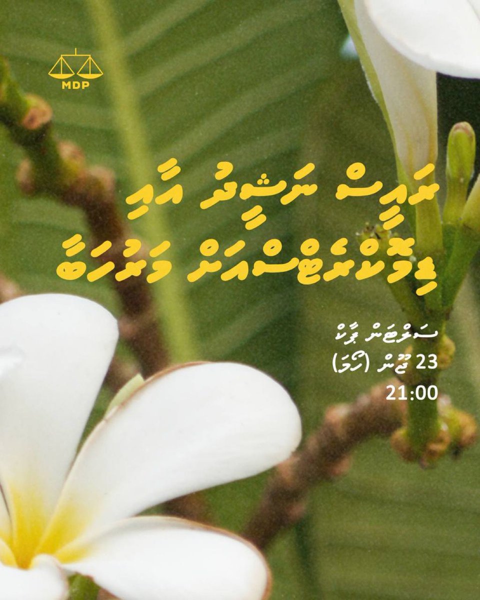 މިރޭ 9:00 ސަލްޓަން ޕާކު!