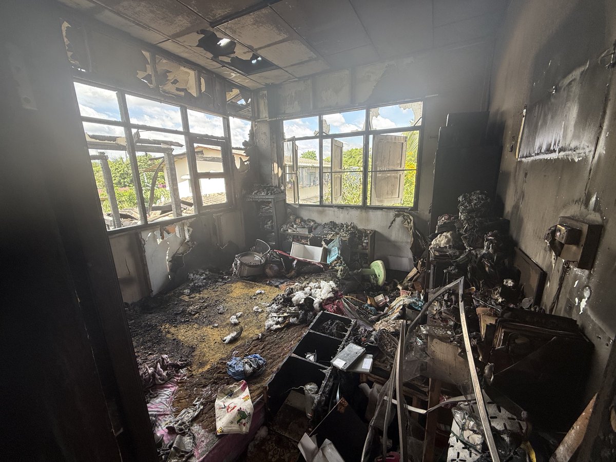 แพแพร 🎠 tweet media