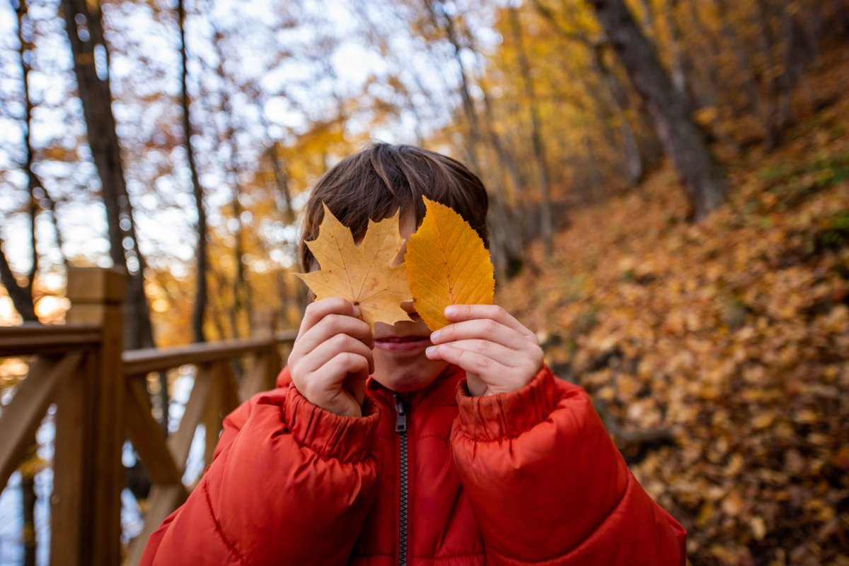 فهد 🍁 (@_5kd) on Twitter photo 