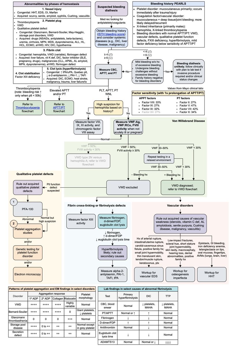 Approach to Bleeding Disorders: A Comprehensive Diagnostic Flowchart